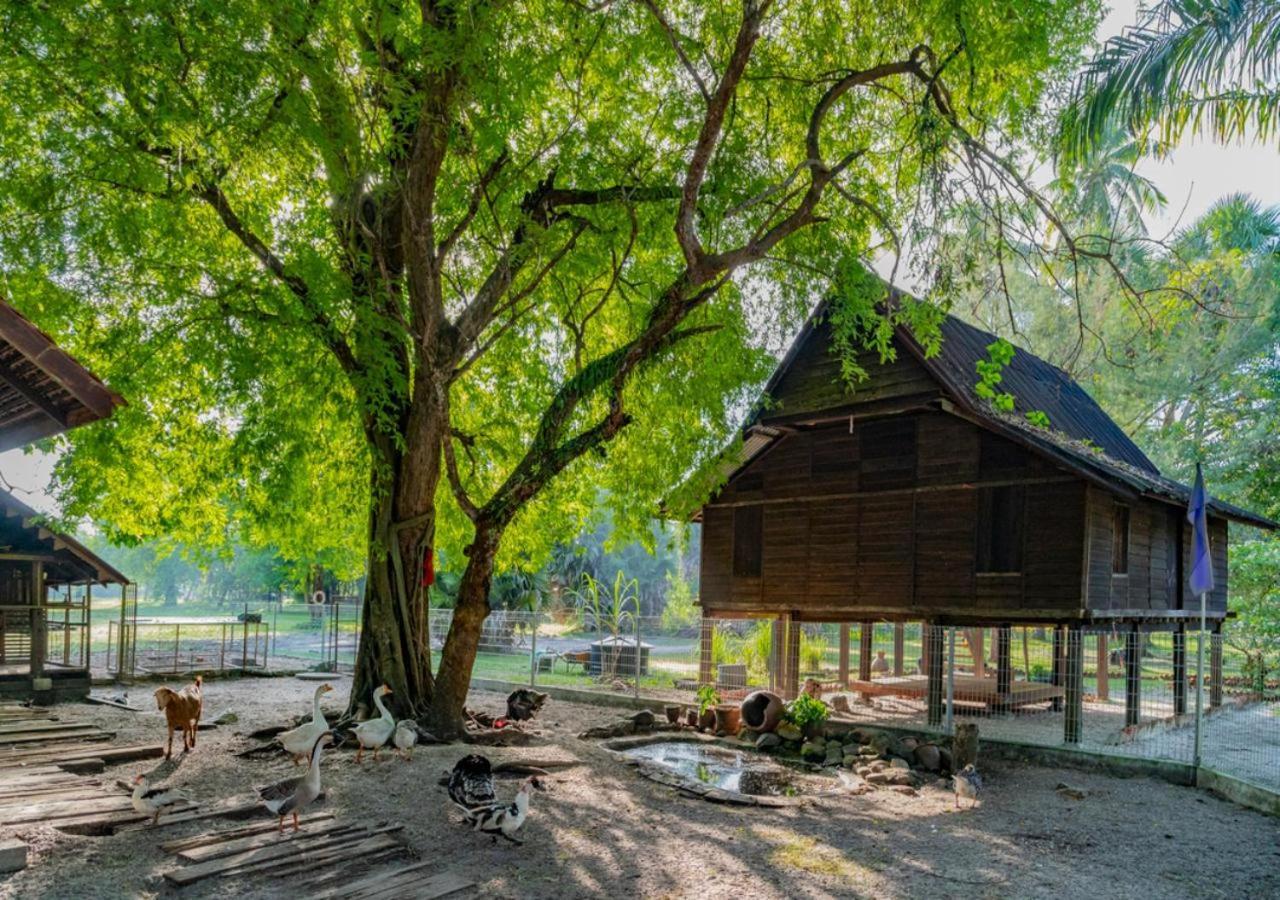 Pelangi Beach Resort & Spa, Langkawi Λανγκάουι Εξωτερικό φωτογραφία A traditional house in Perak, Malaysia