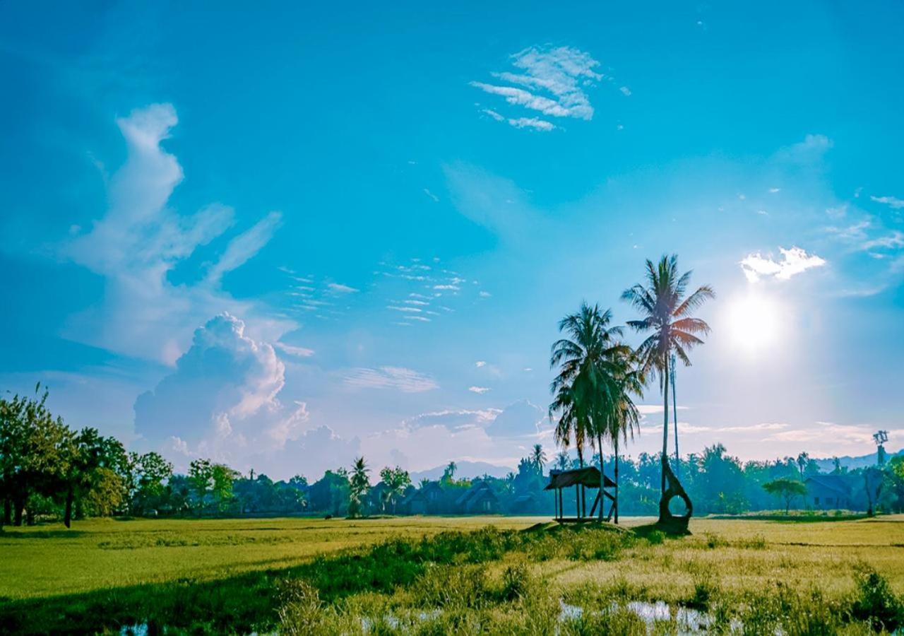 Pelangi Beach Resort & Spa, Langkawi Λανγκάουι Εξωτερικό φωτογραφία A view of the paddy fields in the village