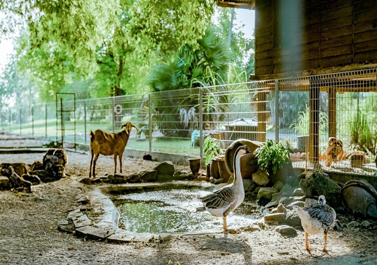 Pelangi Beach Resort & Spa, Langkawi Λανγκάουι Εξωτερικό φωτογραφία The goat barn at the Old Zoo